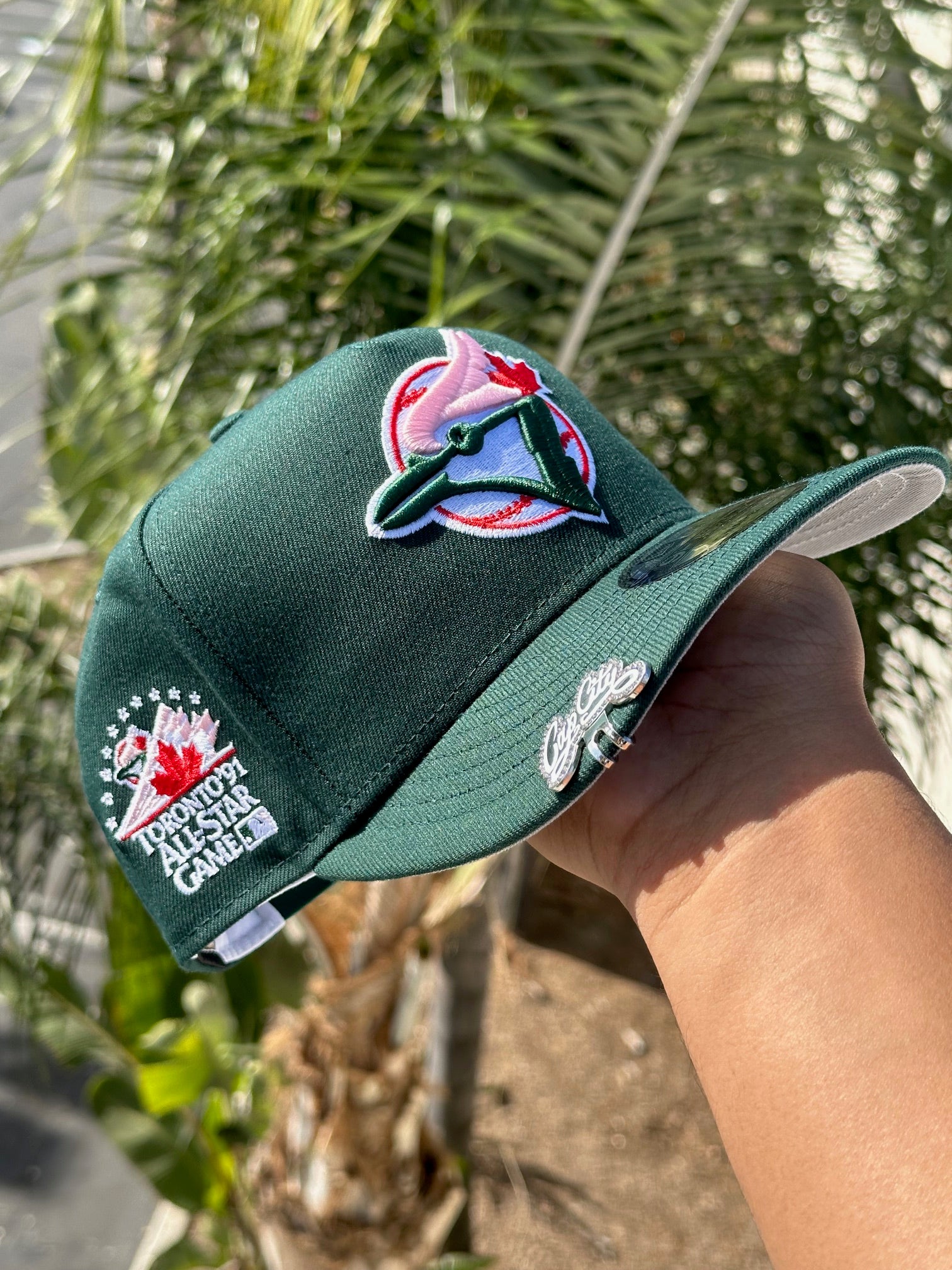 Toronto Blue Jays sale Fitted Green Eggs Hatclub